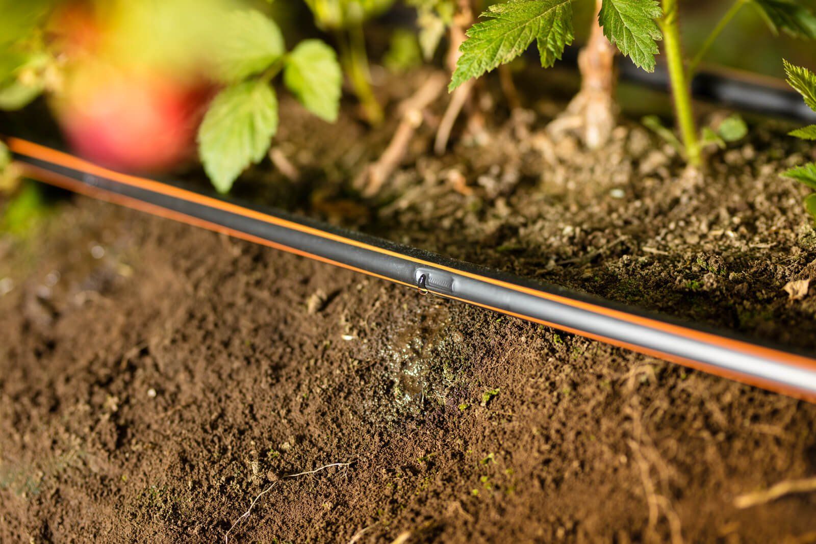 Drip irrigation systems netafim