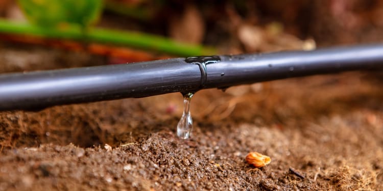 DRIP IRRIGATION