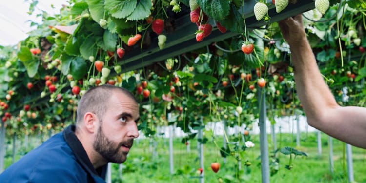 Precision irrigation: Power to the farmer