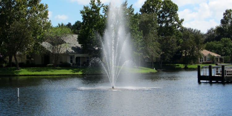 WATER QUALITY MANAGEMENT IN LAKES & PONDS
