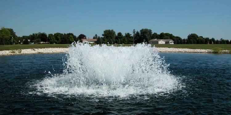WATER QUALITY MANAGEMENT IN IRRIGATION RESERVOIRS