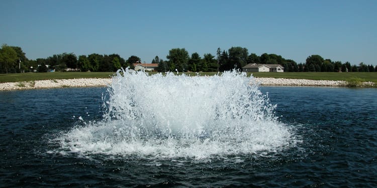 WATER QUALITY MANAGEMENT IN IRRIGATION RESERVOIRS