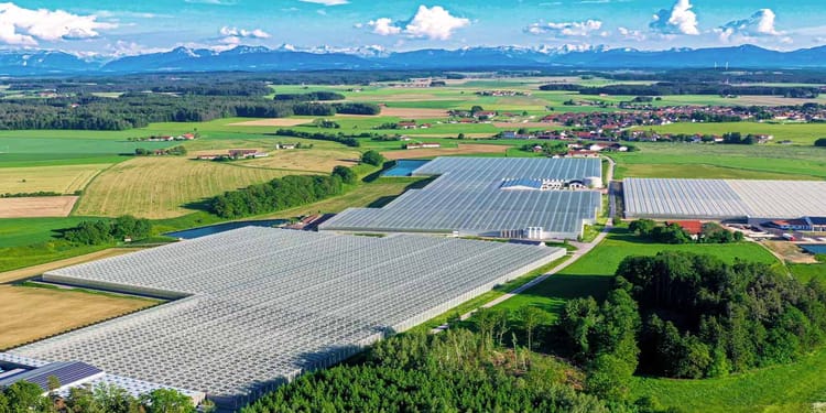 Venlo Glasshouse