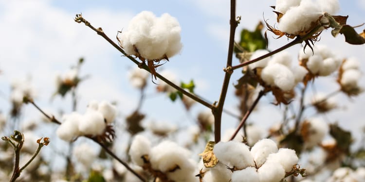Transforming Agriculture -  Revolutionizing a Country’s Industry