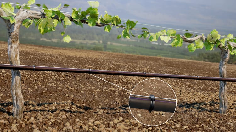 Dripline Holders