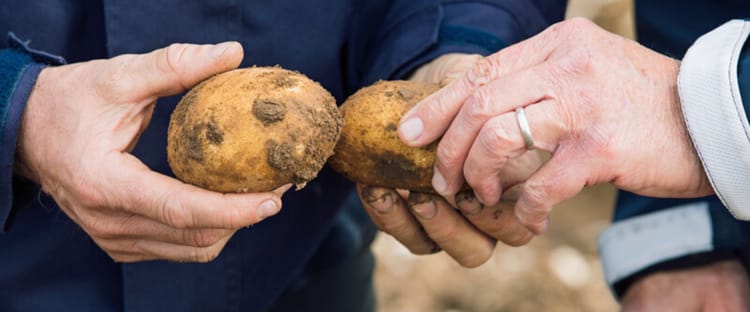 Irrigation as a Service