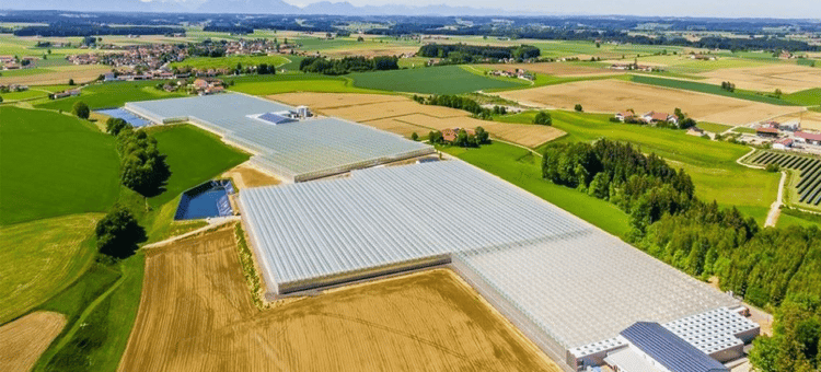 Venlo Glasshouse: Steiner - Greenhouse project