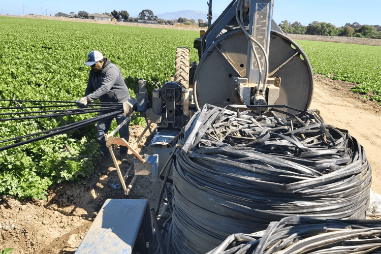 Farmer in the field