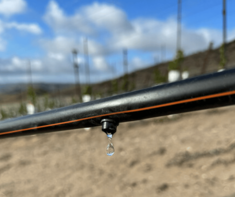 Netafim Hybrid Dripline: Breakthrough In Drip Irrigation