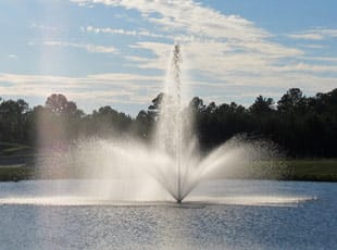 Lakes & Ponds