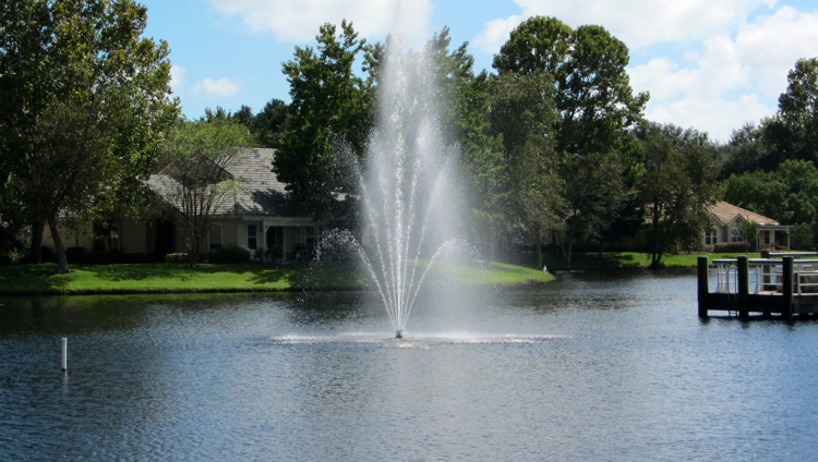 WATER QUALITY MANAGEMENT IN LAKES & PONDS