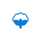 Cotton