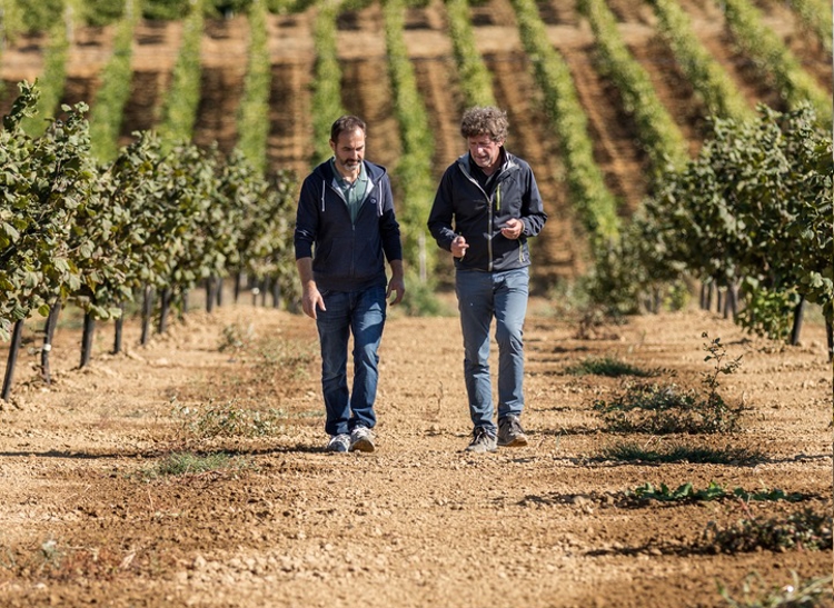 two farmers walking in a vineyard with precision fertigation